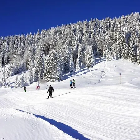 Apartamento Rosenstrasse Dornbirn