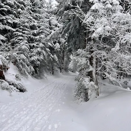 Rosenstrasse