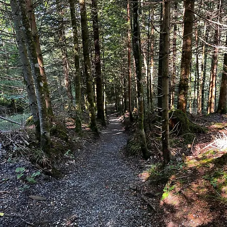 Rosenstrasse *